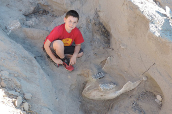 9-летний мальчик случайно нашел череп предка слона возрастом более 1 млн лет