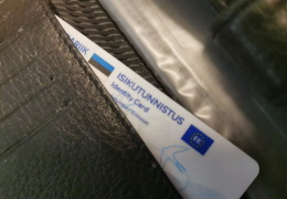 Департамент: Перед декларированием доходов убедитесь, что документы действительны и PIN-коды имеются