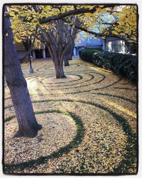  Американка создаёт из опавших осенних листьев разные геометрические узоры