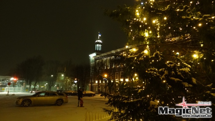 Новогодняя елка на Петровской площади
