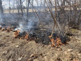 Проблема сжигания прошлогодней травы в Ида-Вирумаа по-прежнему актуальна