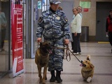  Рыжий - самый милый полицейский в России