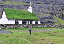  Почему на крышах домов в Скандинавии растет трава?