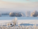  Сказочная красота Белоруссии зимой в фотографиях Алексея Угальникова 