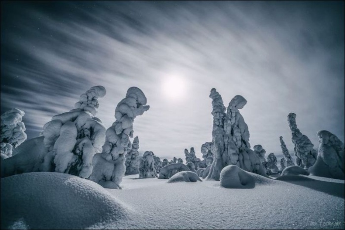 Сказочная зимняя Лапландия