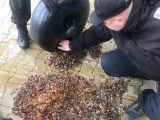  На польско-украинской границе изъяли 22 кг янтаря, спрятанных в газовом баллоне автомобиля