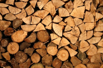 Госуправление лесами Эстонии продало дров почти на девять миллионов евро 