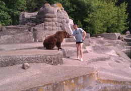В варшавском зоопарке пьяный мужчина прыгнул в вольер к медведю