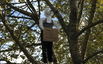 ФОТО: повешенная на дерево в Нарве кукла привлекла внимание полиции 