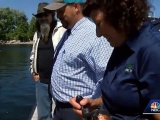  На озере в Нью-Йорке женщина поймала рыбу с двумя пастями
