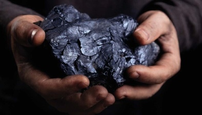  Происхождение угля остается загадкой 