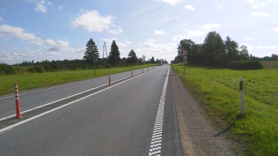 Решение: резиновые столбики будут препятствовать обгонам на участке шоссе Таллинн - Нарва 