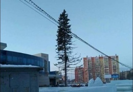 Жители Копейска возмущены лысой новогодней елкой на площади
