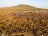 Деревню в Южной Африке охватила «алмазная лихорадка» 