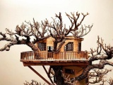  Крохотные домики на деревьях бонсай от умельца Дейва Крика