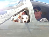 Эти пилоты спасают животных от гибели