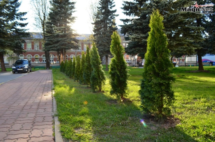 Нарвская больница стала зеленее!