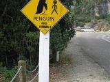 Самые смешные дорожные знаки :)