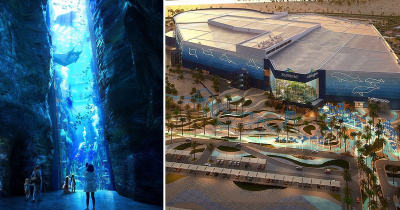 В Абу-Даби строят морской парк c крупнейшим в мире аквариумом