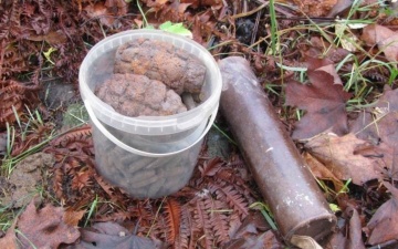 У жителя Нарвы полиция случайно нашла склад оружия и боеприпасов времен Второй мировой войны 