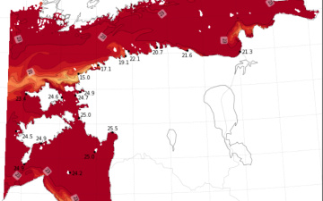 В Финском заливе зарегистрировали самую высокую температуру воды за всю историю наблюдений