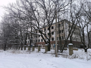 Крупный эстонский бизнесмен собирается построить в Нарве частный дом попечения