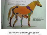 Эстонский учебник для детей