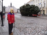ФОТО: на Ратушной площади в Тарту установили рождественскую ель 