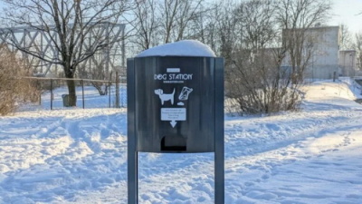 Тайна исчезновения пакетов с нарвских дог-станций — есть варианты