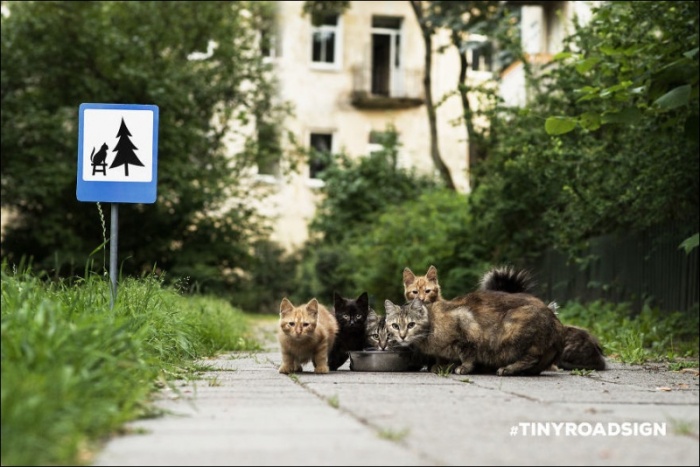 Крошечные дорожные знаки для маленьких жителей Вильнюса