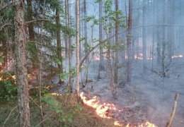 Высокий уровень пожароопасности сохраняется только в Йыгеваском и Ида-Вируском уездах 
