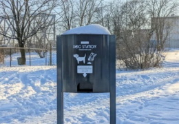 Тайна исчезновения пакетов с нарвских дог-станций — есть варианты