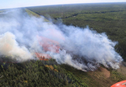 В Ида-Вирумаа пожар охватил 15 гектаров леса