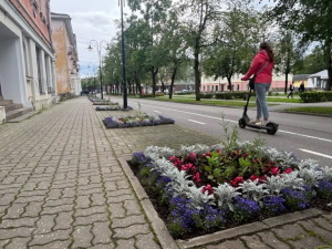 Вандализм в Нарве снова поднимает голову: воруют цветы, ломают скамейки