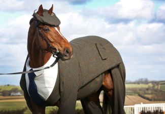 Первый в мире костюм-тройка для лошади