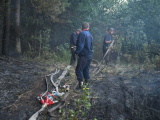 Начавшийся в понедельник вечером лесной пожар в Нарва-Йыэсуу до сих пор не потушен 