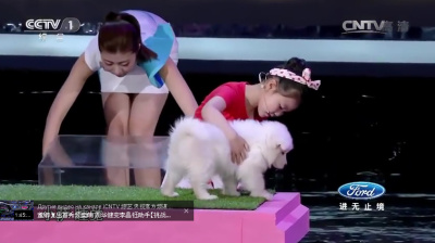 Девочка на китайском шоу талантов гипнотизирует животных