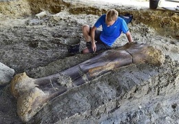 Ученые нашли 2-метровую бедренную кость весом полтонны, принадлежавшую гигантскому динозавру