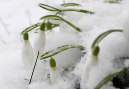 В феврале в Эстонии были обновлены рекорды по температуре и осадкам 