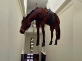Подвешенная под потолком лошадь в музее Пушкина возмутила россиян