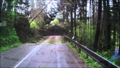 Массовое падение деревьев на горной дороге