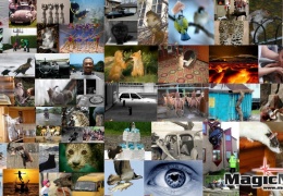 Фотоподборка