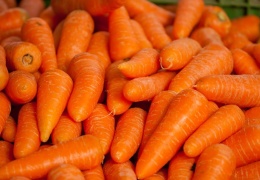 EVIRA: весенняя морковь может вызвать отравление 