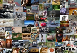 Фотоподборка 