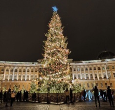  "Какой год - такая елка": в российских городах жалуются на зеленых новогодних калек