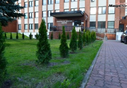 Нарвская больница стала зеленее!