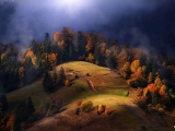 Осенняя природа на снимках Сергея Полюшко
