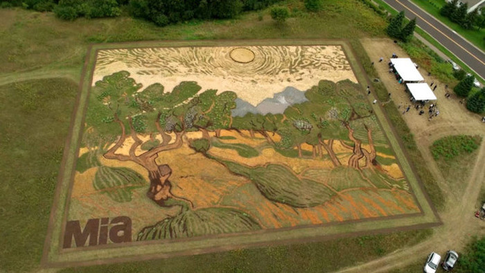 Ландшафтный дизайнер из США превратил поле в репродукцию картины Винсента Ван Гога