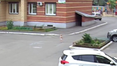Полуторагодовалый малыш "сбежал" из частного детского сада в Вологде. Видео