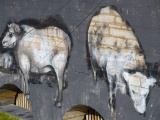 ФОТО: раскрашенные стены Горхолла попробовали отмыть